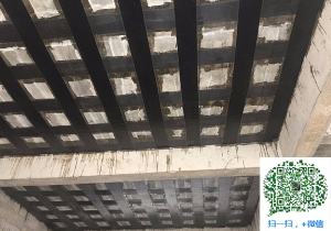 鼓楼厂房碳纤维加固